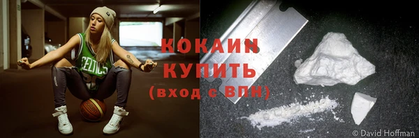 соль ск Арсеньев