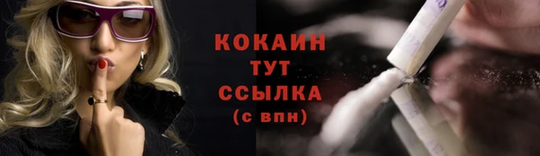 соль ск Арсеньев